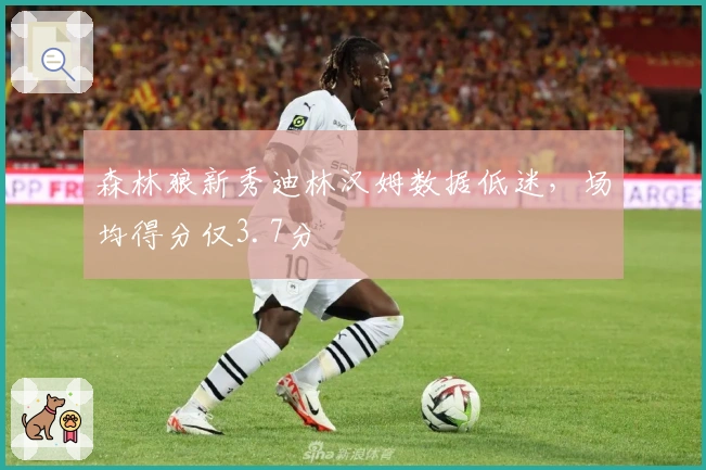 森林狼新秀迪林汉姆数据低迷，场均得分仅3.7分
