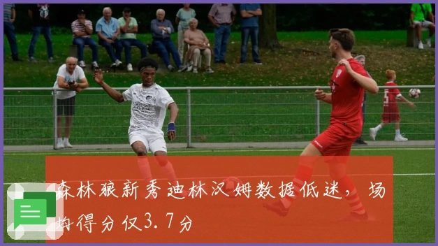 森林狼新秀迪林汉姆数据低迷，场均得分仅3.7分