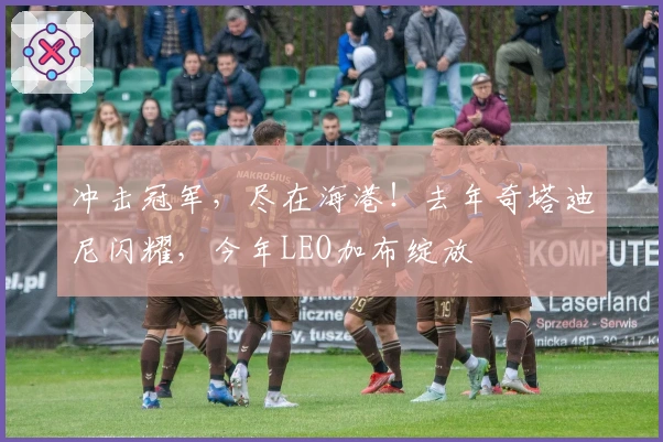 冲击冠军，尽在海港！去年奇塔迪尼闪耀，今年LEO加布绽放