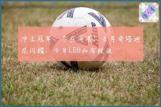 冲击冠军，尽在海港！去年奇塔迪尼闪耀，今年LEO加布绽放